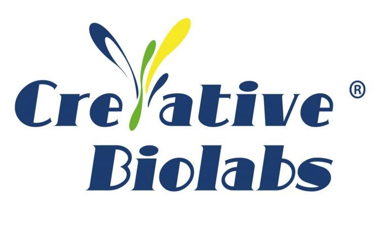 Customized CRO Solutions from Creative Biolabs Tackle Enterococcus Safety Hurdles, Expediting LBP Drug R&D
